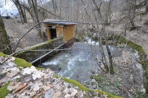 Petite entrée d'eau sous abri